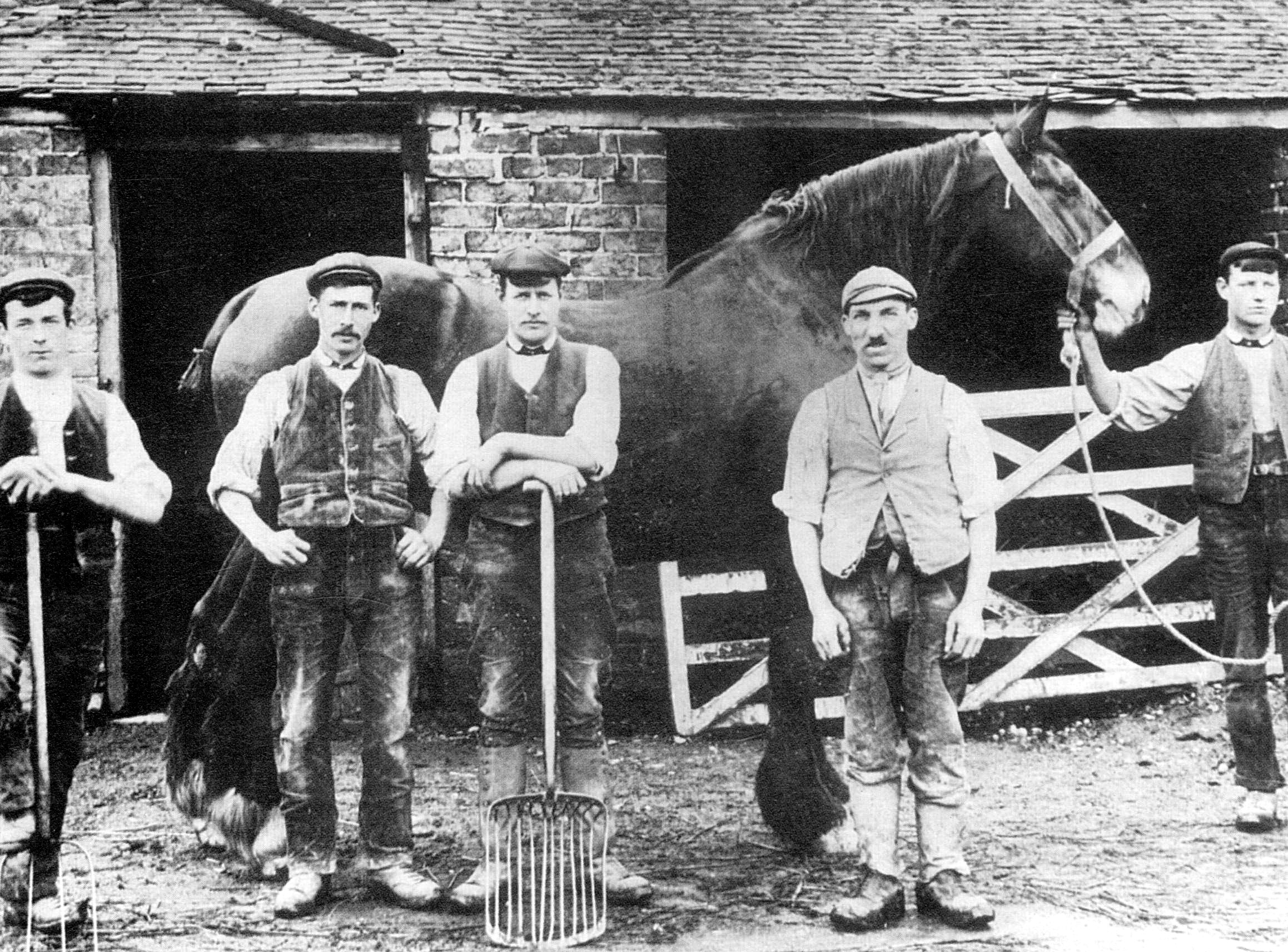 Farm group at Luddington c.1905 © North Lincolnshire Museums